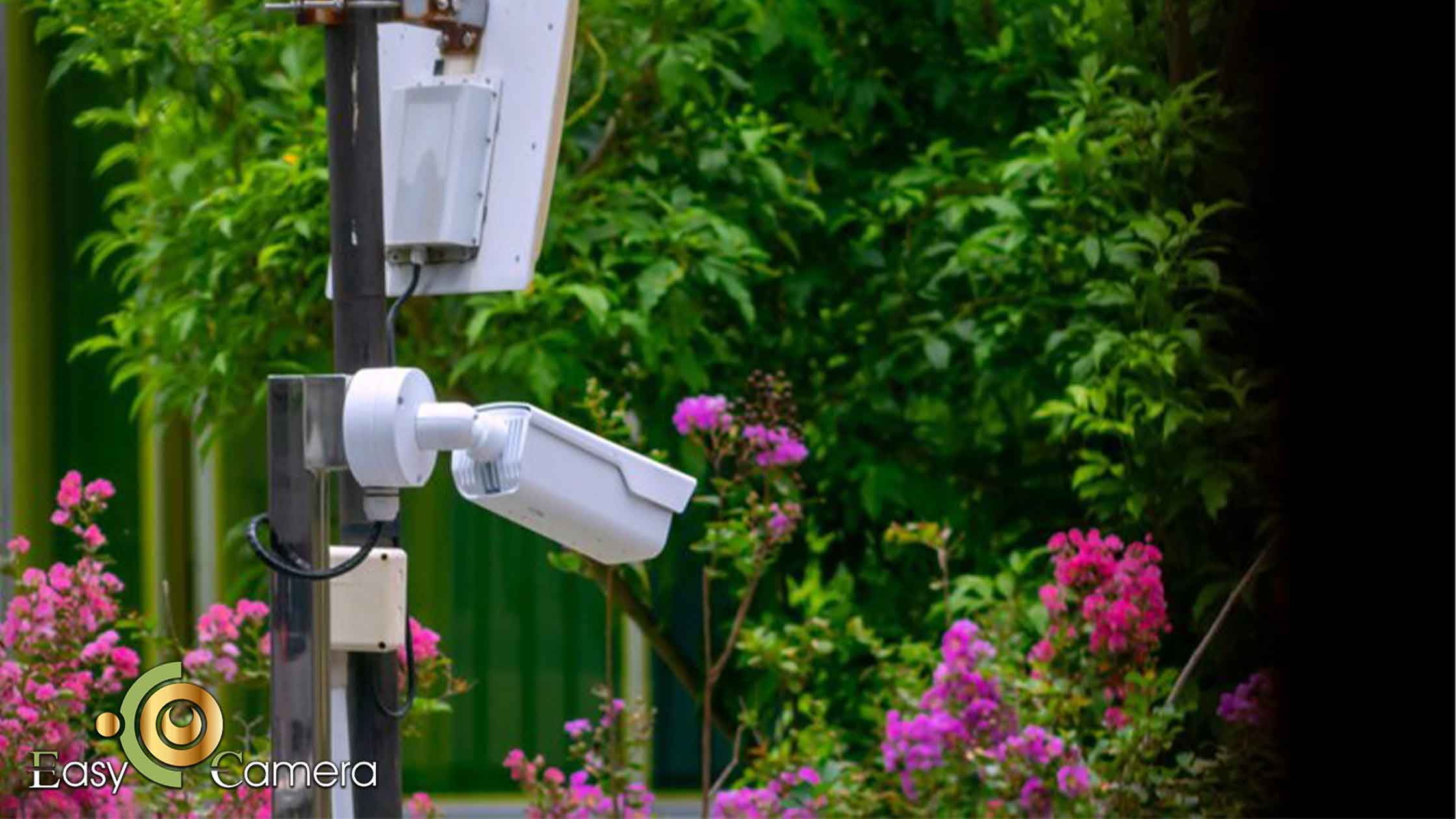 نصب و نگهداری دوربینهای داهوا در ویلا